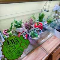 Hooked on Joy: Longkang Fishing Adventure at Nature Kindred Singapore