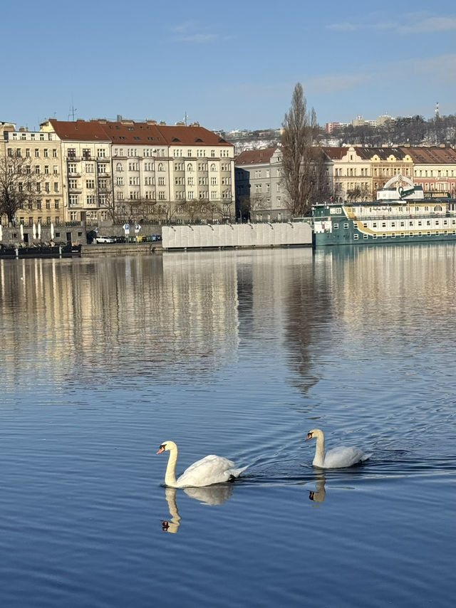 프라하 여행 꿀팁 🇨🇿