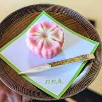 姬路 | 雙樹庵，體驗千里家正宗的茶道文化