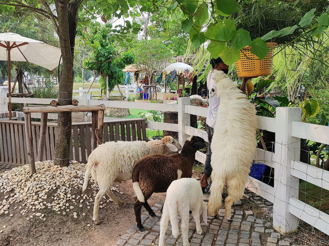 初めてのラム料理が、ここまで美味しいなんて驚き！🌿✨