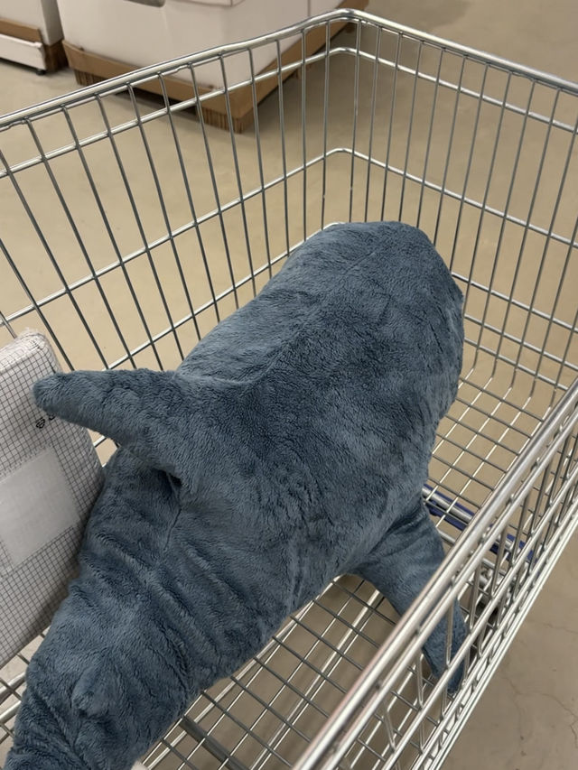🛋️ 쇼룸부터 푸드코트까지, 이케아 기흥점 하루 산책