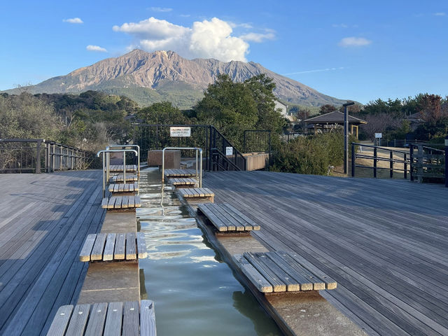 My Relaxing Day at Sakurajima: Foot Bath, Volcano Views & Cute Cats! 🌋👣