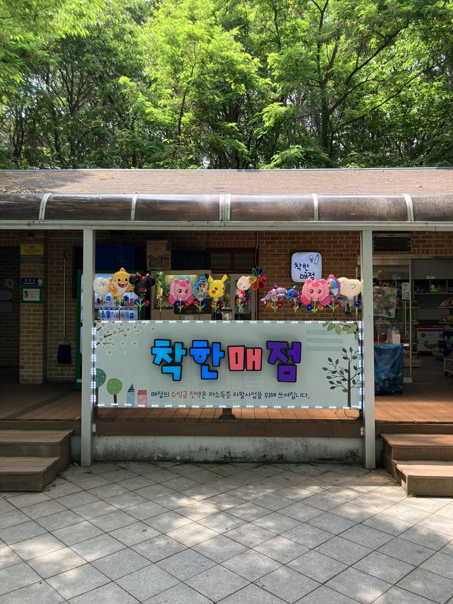 호수 산책부터 맛집까지! 분당 도심 속 힐링 스팟, 율동공원!
