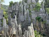 Adventures and animal spotting in Rainforest Wild Asia