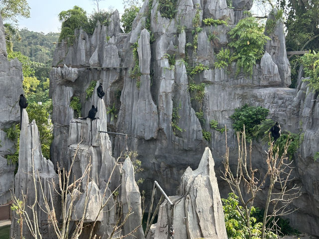 Adventures and animal spotting in Rainforest Wild Asia
