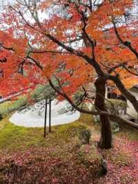 @ EIKANDO TEMPLE IN KYOTO.