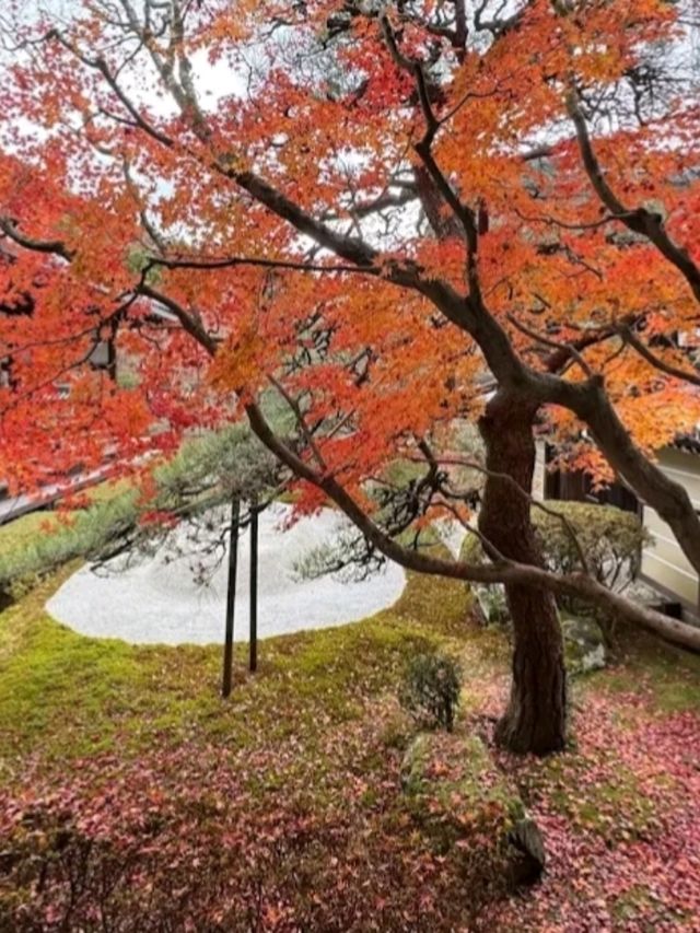 @ EIKANDO TEMPLE IN KYOTO.