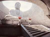 Silent Giants & Snow Spirits: A Solo Journey to Sapporo’s Hill of the Buddha