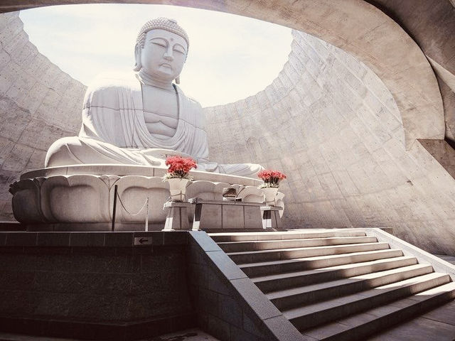 Silent Giants & Snow Spirits: A Solo Journey to Sapporo’s Hill of the Buddha