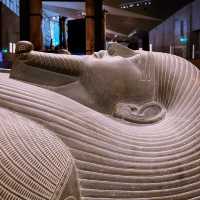 Time Travel at Dawn: First Entry to the Grand Egyptian Museum