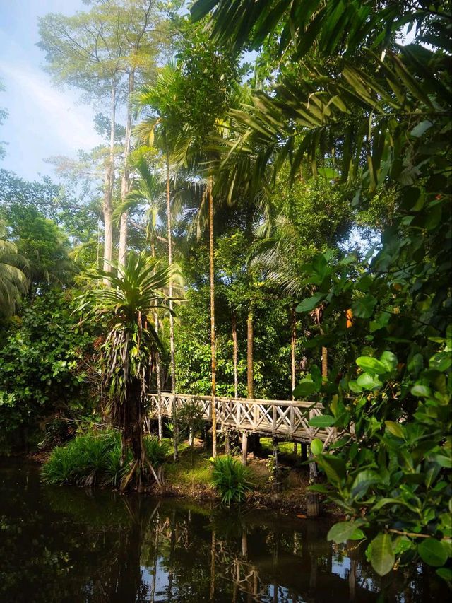 Monkey Business & Jungle Feels