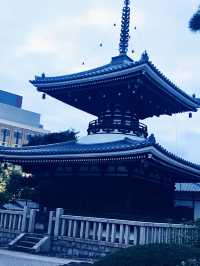 【東京　護国寺、音羽　夕暮れの風に吹かれて講談社と護国寺をジョグ散歩】