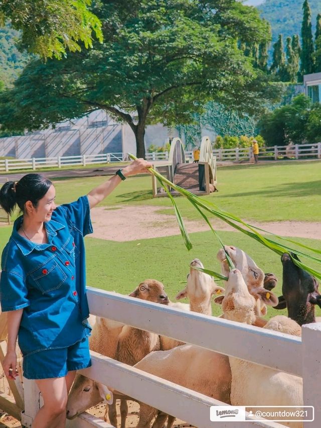 จุดเช็คอินสวนผึ้งที่ห้ามพลาด‼️the scenery vintage 