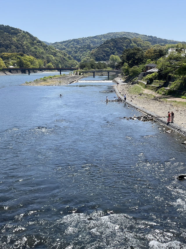 🌿 A Day by the Kamo River: Kyoto’s Calm in Motion 🏞️⛅