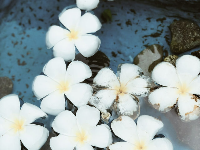 A Dreamy Day at Pinto Art Museum