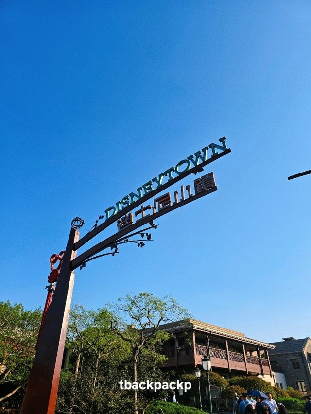 Disneyland อยู่กันจนสวนสนุกปิดกันเลย Day 4 📍🏰