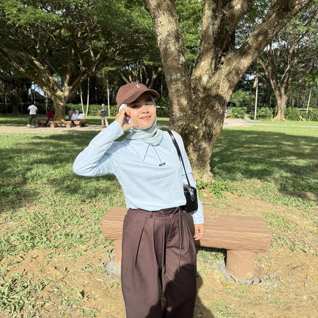 ต้นจามจุรียักษ์ พังงา 🌳