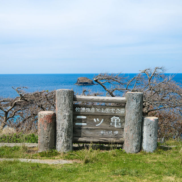 “Futatsugame Beach” in Sado Island ⛰️🍃🇯🇵