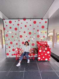 Yayoi Kusama Museum พิพิธภัณฑ์ศิลปะเมืองมัตสึโมโต้