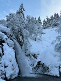❄️藏在雪國的白銀秘境｜山形銀山溫泉・白銀瀑布