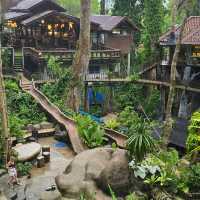 Living the Jungle Dream at Rock & Tree House Resort