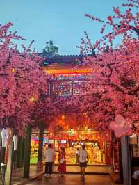 ถนนคนเดินจิ๋นหลี (Jinli Ancient Street) ที่เฉิงตู
