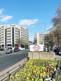 London’s diary
