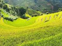 Layers of Peace – A Day in Lao Chai, Vietnam