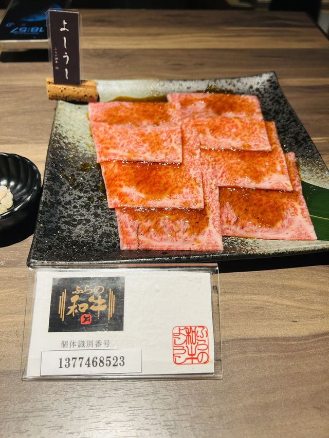 Premium Wagyu Yakiniku, Affordable Price