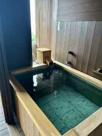 《修善寺/宿》富士山を拝める、別荘のような宿