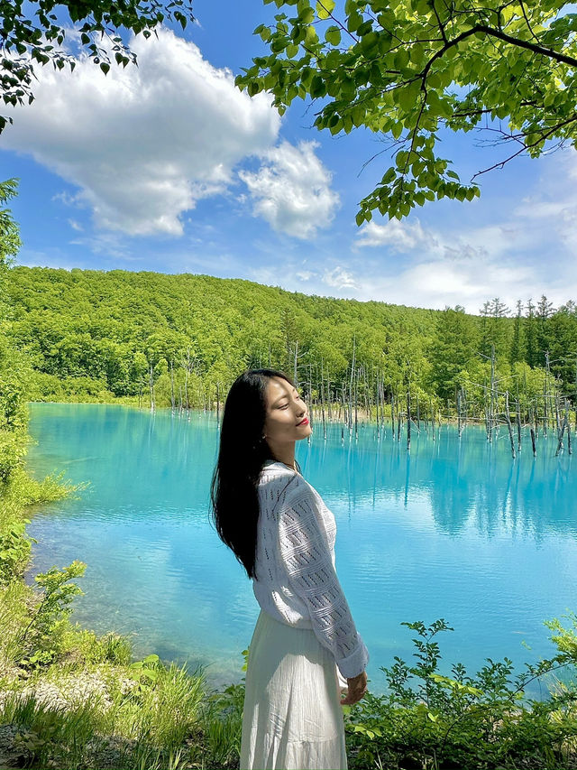 홋카이도 투어 추천 비에이 투어