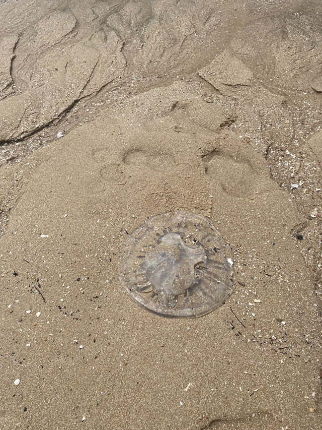 ชวนเที่ยวหาดทรายน้อย – หาดลับบรรยากาศดีที่หัวหิน
