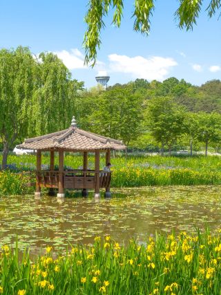 Picturesque Scenery at Geochang Changpowon