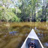 Caddo Lake State Park – East Texas