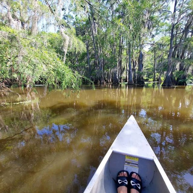 Caddo Lake State Park – East Texas