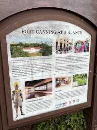 From Shadows to Skylight, Fort Canning’s Tree Tunnel Magic