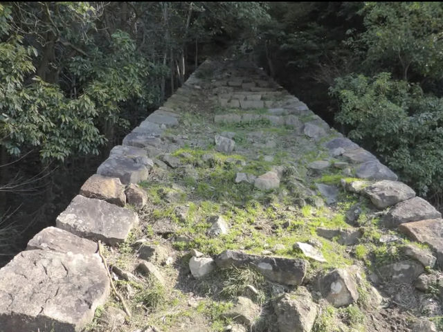 歴史ロマンに浸る⛩️鳥取城跡でタイムトラベル】