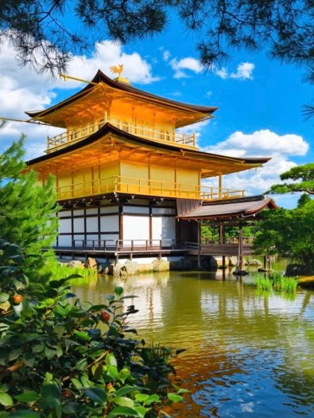京都必去景點 （一）京都金閣寺🏯 
