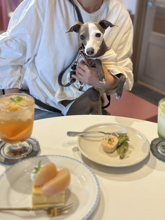 【福岡カフェ】ペットも一緒に楽しめるカフェ