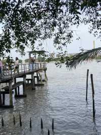 Bangkok Tree House บางกระเจ้า