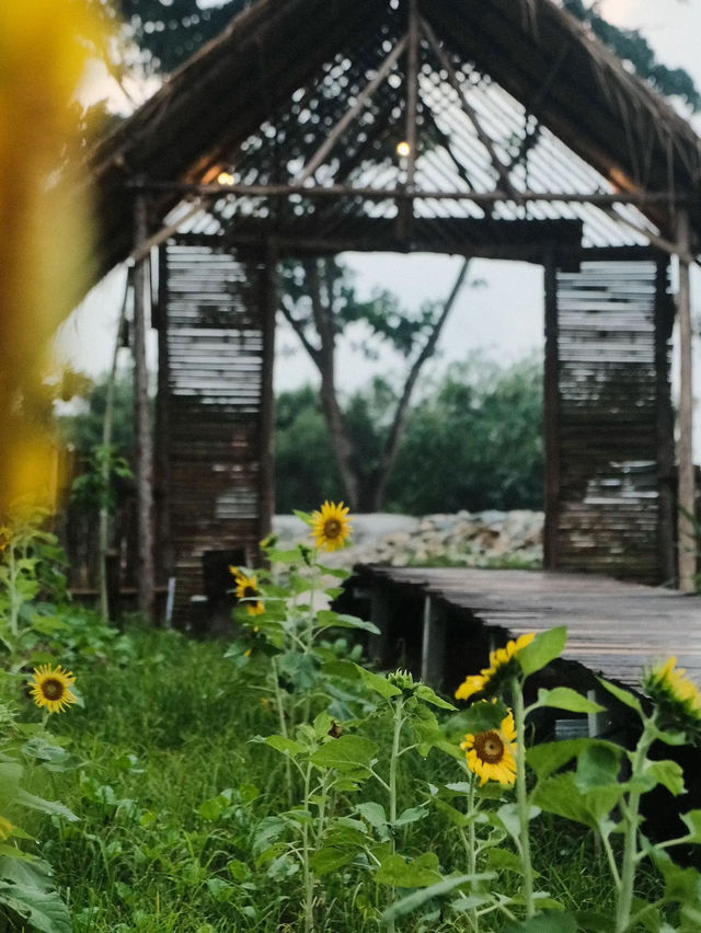 ที่พักราชบุรี ที่พักเปิดใหม่ | มองวิว รีสอร์ท