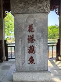 Huagang Garden 🐟🪷