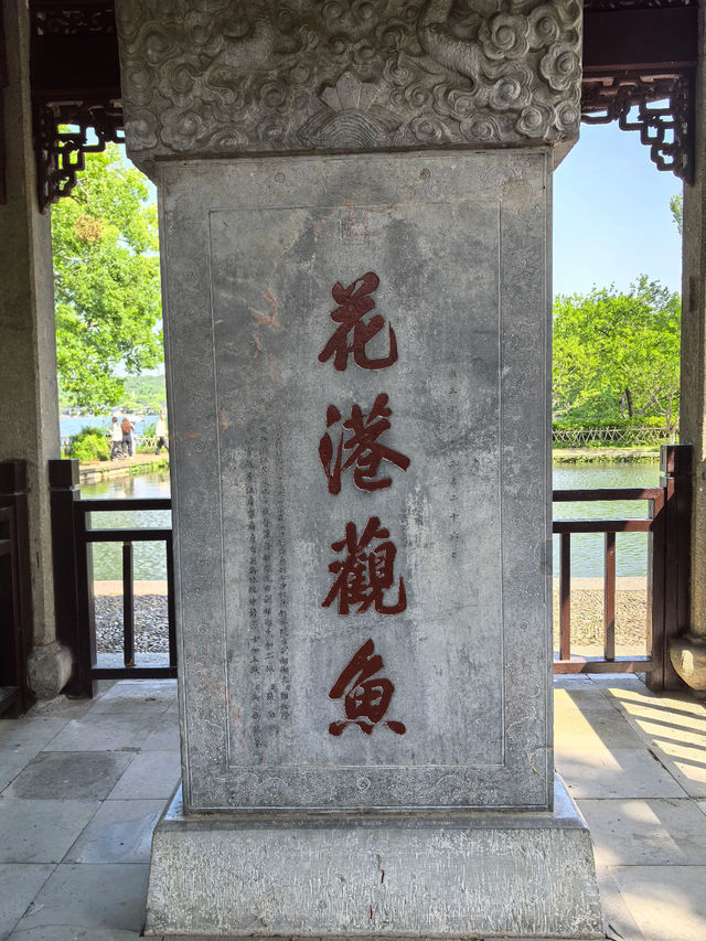 Huagang Garden 🐟🪷