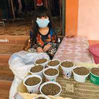 บ่อเกลือโบราณ หนึ่งเดียวในไทย 