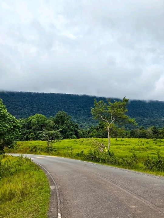 วิ่งสูดอากาศบริสุทธิ์แบบ 360 องศา ที่เขาใหญ่
