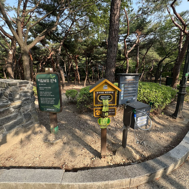 🇰🇷 How to spend 28 days in Seoul