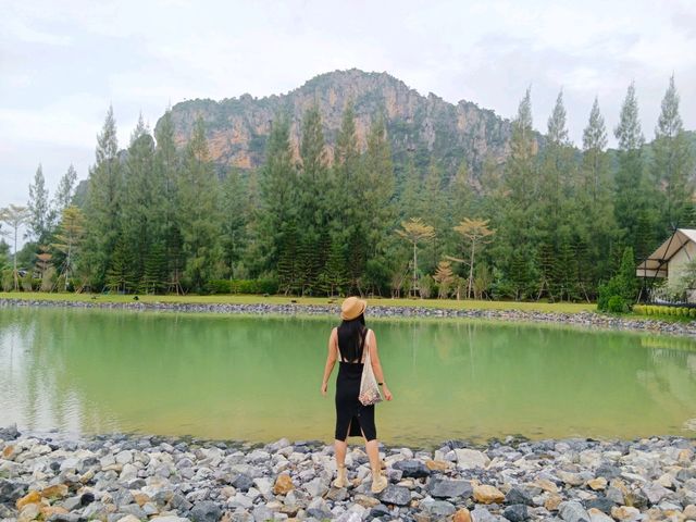 Iko Camp & Cafe