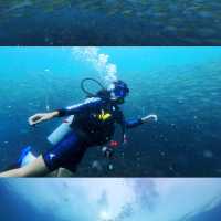 เกาะเต่า รอบที่ 4 