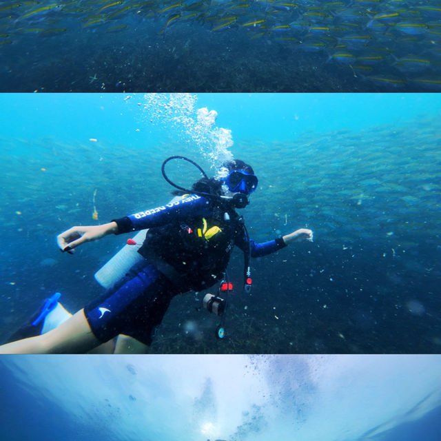 เกาะเต่า รอบที่ 4 
