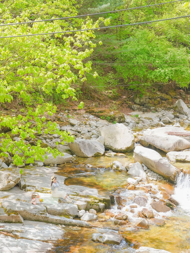 사랑 가득한 여행 하기 좋은 힐링 도시 화천🌿